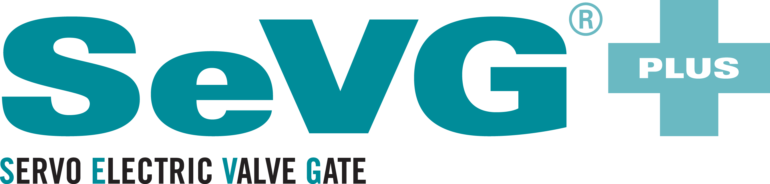 SEVG BANNER LOGO